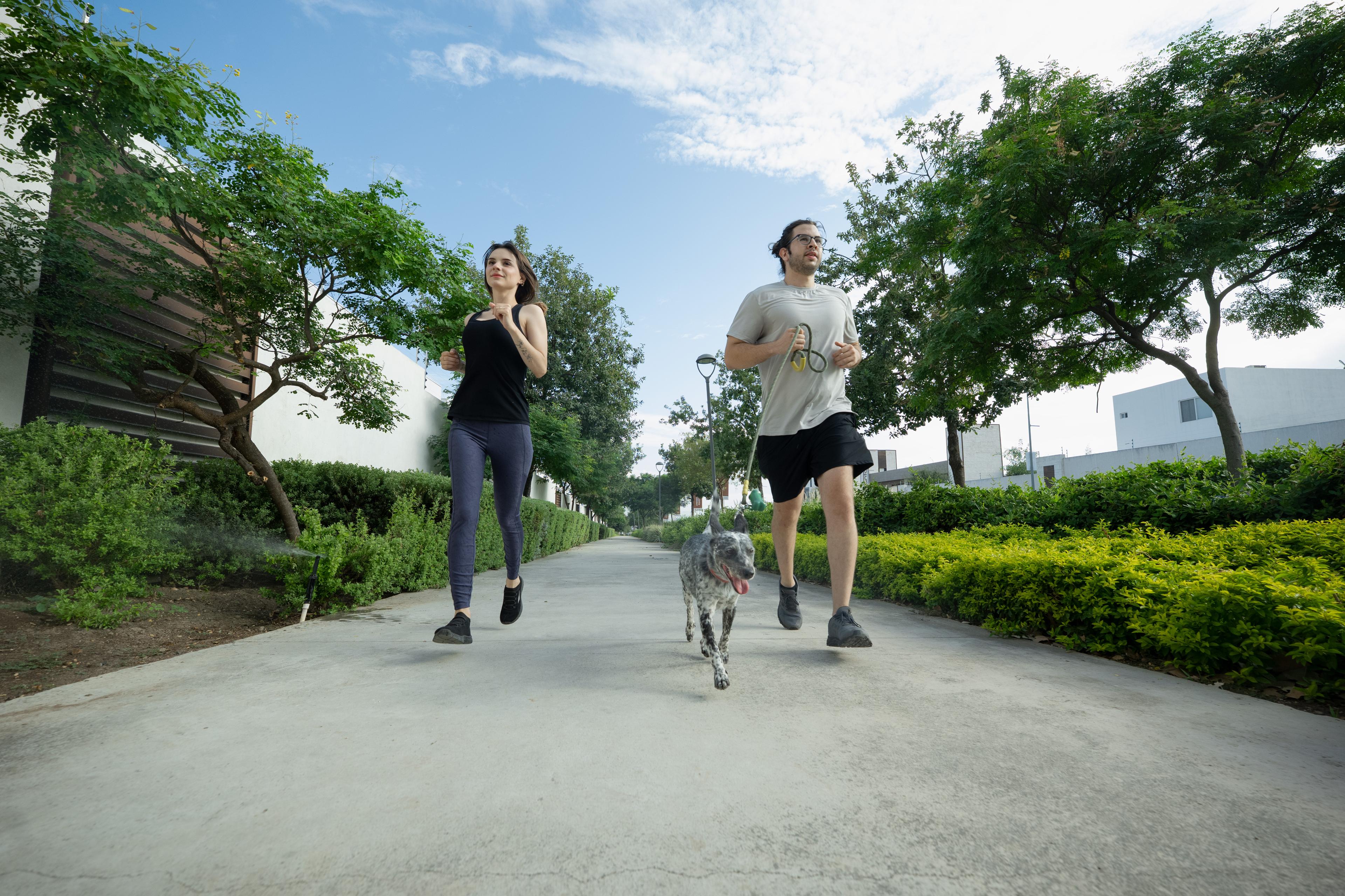 Parques lineales en Dominio Cumrbes
