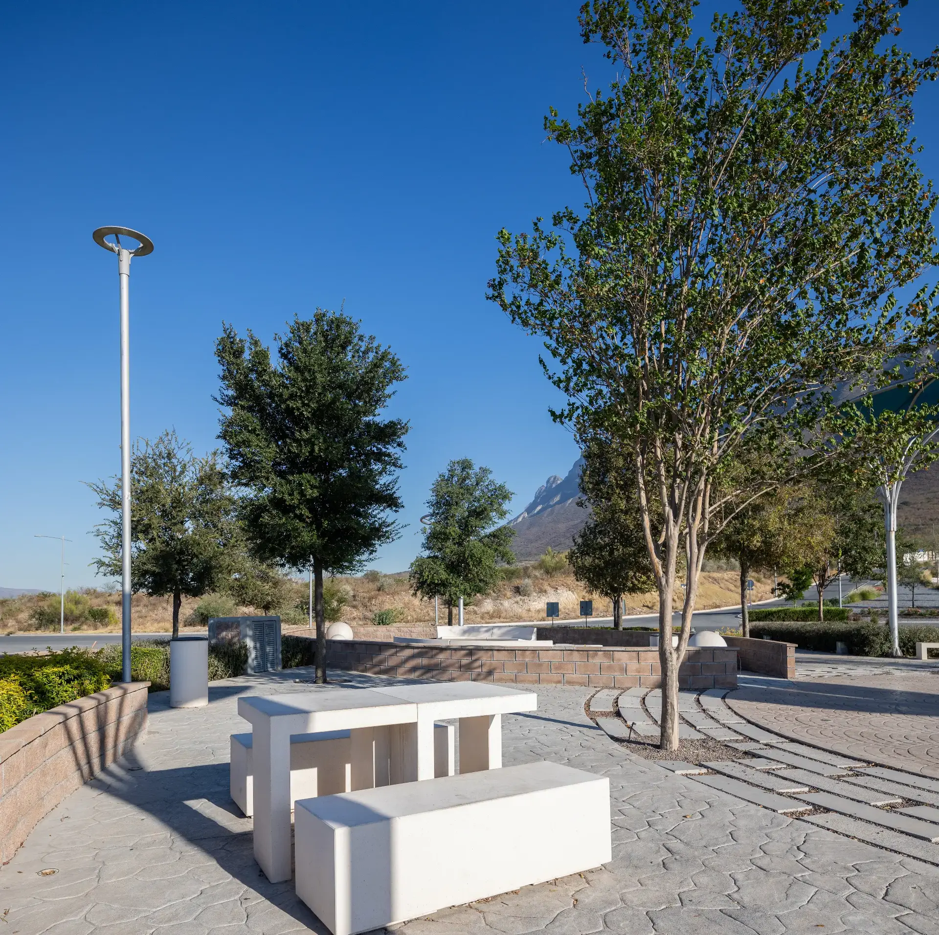 Imagen de El valor de plantar especies nativas en parques urbanos: un compromiso con la sustentabilidad en Nuevo León